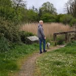 Alan Breckin - @alanbreckin - Instagram