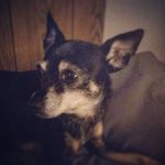 Alan breland - @ldzirspirit - Instagram