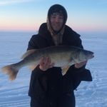 Alan Brent - @brentschestnutacres - Instagram