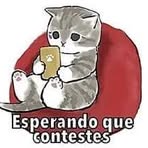 Aylin Brenin - Facebook
