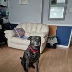 Alan Brian Dodsworth - @alanbriandodsworth - Instagram