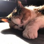 Alan Bright - @alan.bright.7528 - Instagram