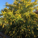 Alan Bright - @gardening_grandpa - Instagram