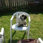 Alan Bright - @bright_alan - Instagram