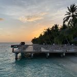 Alan Broad - @aldomontoya76 - Instagram