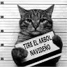 @alan3bross64gamer_yt - TikTok