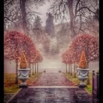 Alan Burley - @alan.burley.54 - Instagram