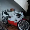 alanburman785 - @alanburman785 - TikTok