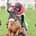 Alan Button - @bigal.button - Instagram