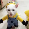 AlanCantrell - @rqu46049j9x - TikTok