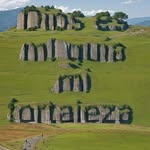 Alan Carrera - @alan___carrera__ - Instagram