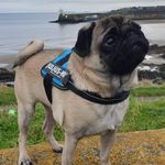 Alan Carroll - @alan.a.carroll - Instagram