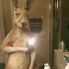 Alan Centeno - @alan.centeno947 - TikTok