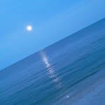 Alan Chaney - @anchaust - Instagram