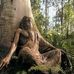 Alan TreeMan Charlton Photography - Facebook
