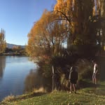 Alan Chatfield - @paradiseismatarangi - Instagram