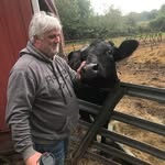 Alan chatfield - @chatfield.alan - Instagram