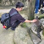 Alan Chen - @alan_chen94 - Instagram