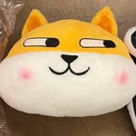 Alan Chiang - @alanchiangalan - Instagram