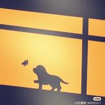 LAM🦁 - @alan.choi.0728 - Instagram