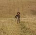 Alan Christensen - Facebook