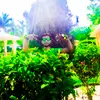 Alan Christy - @alanchristy5 - TikTok