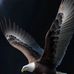 Alan Chua - Facebook