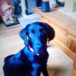 Alan Cochrane - @alan.cochrane.73744 - Instagram