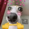 Alan Colunga - @alan_6063 - TikTok