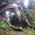 Alan Colyer - @geidegerold00 - Instagram
