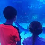 Alan Compton Kaeff - @alankaeff - Instagram