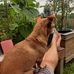 Allan Compton - Facebook