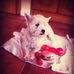 Alan Connaughton - Facebook