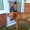 alanconnolly75 - @alanconnolly75 - TikTok