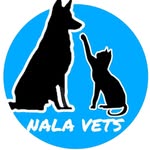 Alan Contreras Zuñiga - @nalavets - Instagram