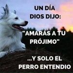 Alan Cortazar - @alan.cortazar.0125 - Instagram