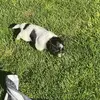 Alan Cortes - @alan.cortes24 - TikTok