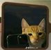 Alan Cosme - Facebook