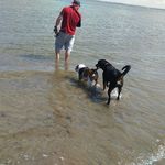 Alan Cotter - @barneycotter - Instagram
