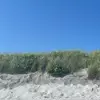 alanacotterxxx - @alanacotterxxx - TikTok