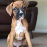 @alancottingham151242 - Instagram