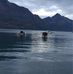 Alan Coull - Facebook