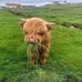 Alan Coull - Facebook