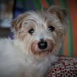 Alan Coulson - @aliscool1 - Instagram