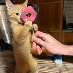 Alan William Coulter - @just_alan82 - Instagram