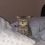alan de jesus rosaldo couoh - @alandejesusrosaldo - Instagram