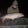 Alan Cowell - @alan.cowell - TikTok