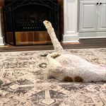James Alan Covington - @1973booboo - Instagram