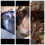 Alan Cowe - @alan.cowe - Instagram