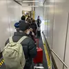 ancientorangutan - @alancowen - TikTok